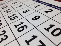 Поводы для СМИ и НКО: календарь социальных событий запустили на Вологодчине