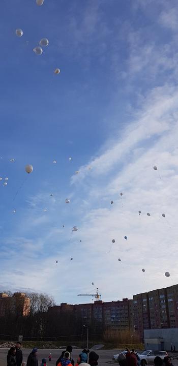 В Череповце в память о погибших в ДТП в небо запустили десятки белых шаров