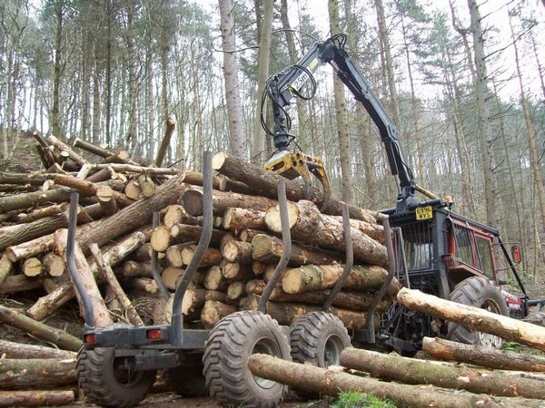 Общественный контроль в лесной отрасли обсудили в рамках международная выставка «Российский лес»