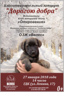 Любителей животных приглашают на благотворительный концерт в Вологде