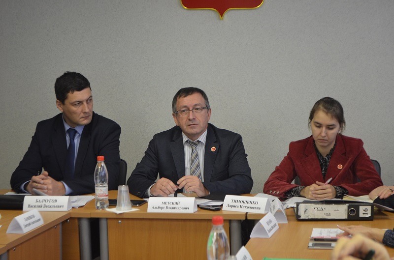 Взаимодействие власти и экологов-общественников обсудили в ОП ВО