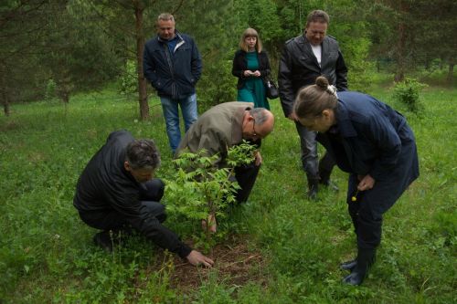 Новости проекта по биологическому восстановлению земель в Кирилловском районе