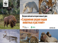 Учителей Вологодской области приглашают провести урок WWF о сохранении редких животных