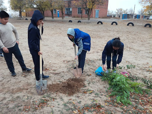 Член ОП ВО Людмила Потаева предоставила жителям Калмыкии саженцы деревьев для высадки
