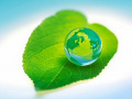 В Вологодской области проходит региональный этап Всероссийского детского экологического форума «Зеленая планета»