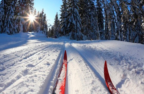 В Сямже пройдут соревнования по лыжным гонкам памяти ветерана лыжного спорта Николая Рюмина