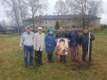 Дубовая аллея, посвящённая Василию Шукшину, появилась в Белозерске